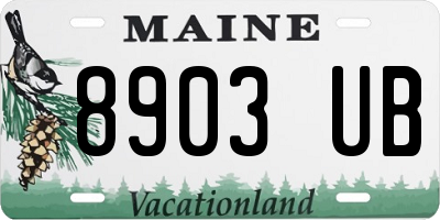 ME license plate 8903UB