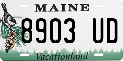 ME license plate 8903UD