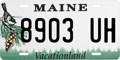 ME license plate 8903UH