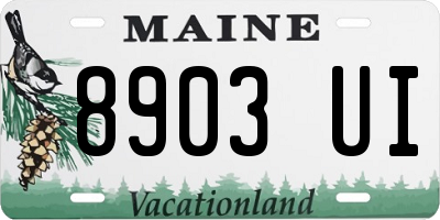 ME license plate 8903UI