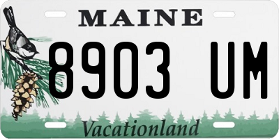 ME license plate 8903UM