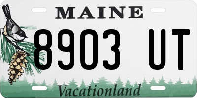 ME license plate 8903UT