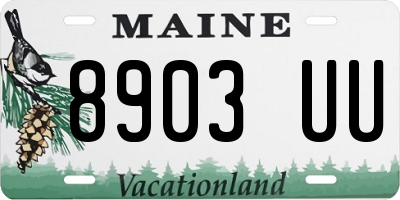 ME license plate 8903UU