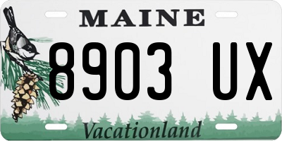 ME license plate 8903UX