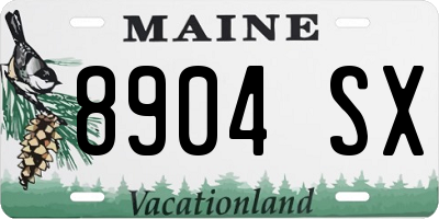 ME license plate 8904SX