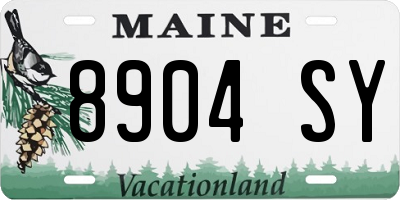 ME license plate 8904SY