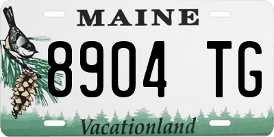 ME license plate 8904TG
