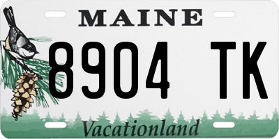 ME license plate 8904TK