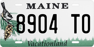 ME license plate 8904TO