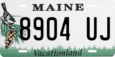 ME license plate 8904UJ