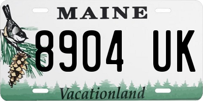 ME license plate 8904UK