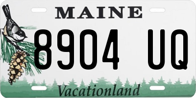 ME license plate 8904UQ