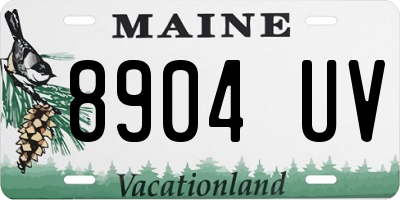 ME license plate 8904UV