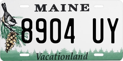 ME license plate 8904UY