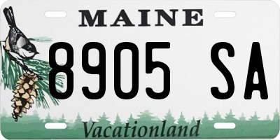 ME license plate 8905SA