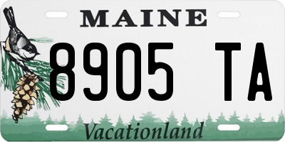ME license plate 8905TA