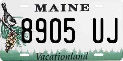 ME license plate 8905UJ