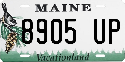 ME license plate 8905UP