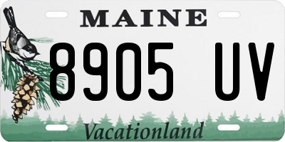 ME license plate 8905UV