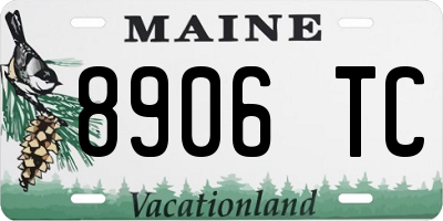 ME license plate 8906TC