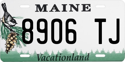 ME license plate 8906TJ