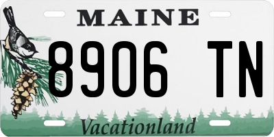 ME license plate 8906TN