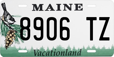 ME license plate 8906TZ