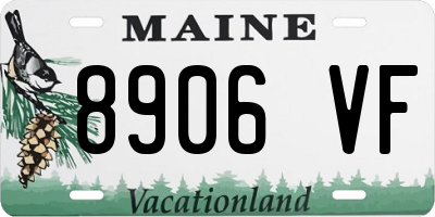 ME license plate 8906VF