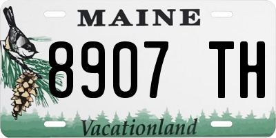 ME license plate 8907TH