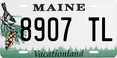 ME license plate 8907TL