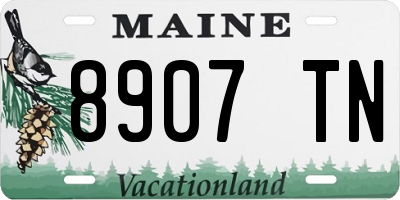 ME license plate 8907TN