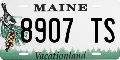ME license plate 8907TS