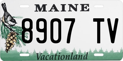 ME license plate 8907TV