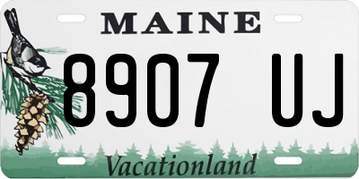 ME license plate 8907UJ