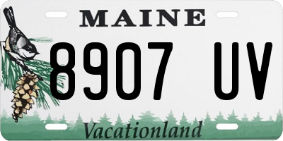 ME license plate 8907UV