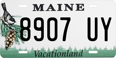 ME license plate 8907UY