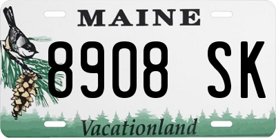 ME license plate 8908SK
