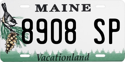 ME license plate 8908SP