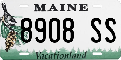 ME license plate 8908SS