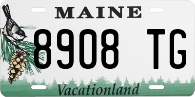 ME license plate 8908TG