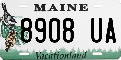 ME license plate 8908UA
