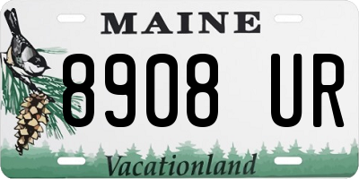 ME license plate 8908UR