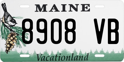 ME license plate 8908VB