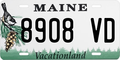 ME license plate 8908VD