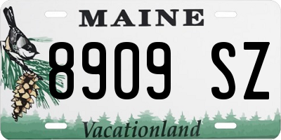 ME license plate 8909SZ