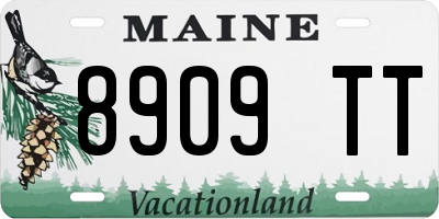 ME license plate 8909TT