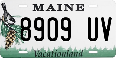 ME license plate 8909UV