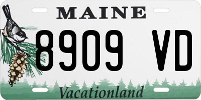 ME license plate 8909VD