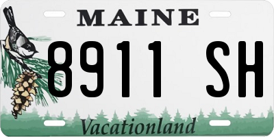 ME license plate 8911SH
