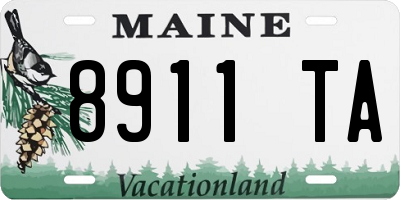 ME license plate 8911TA